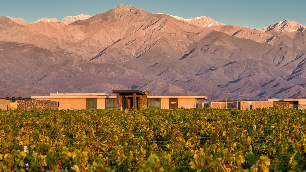The Vines Resort & Spa Los Sauces  Esterno foto